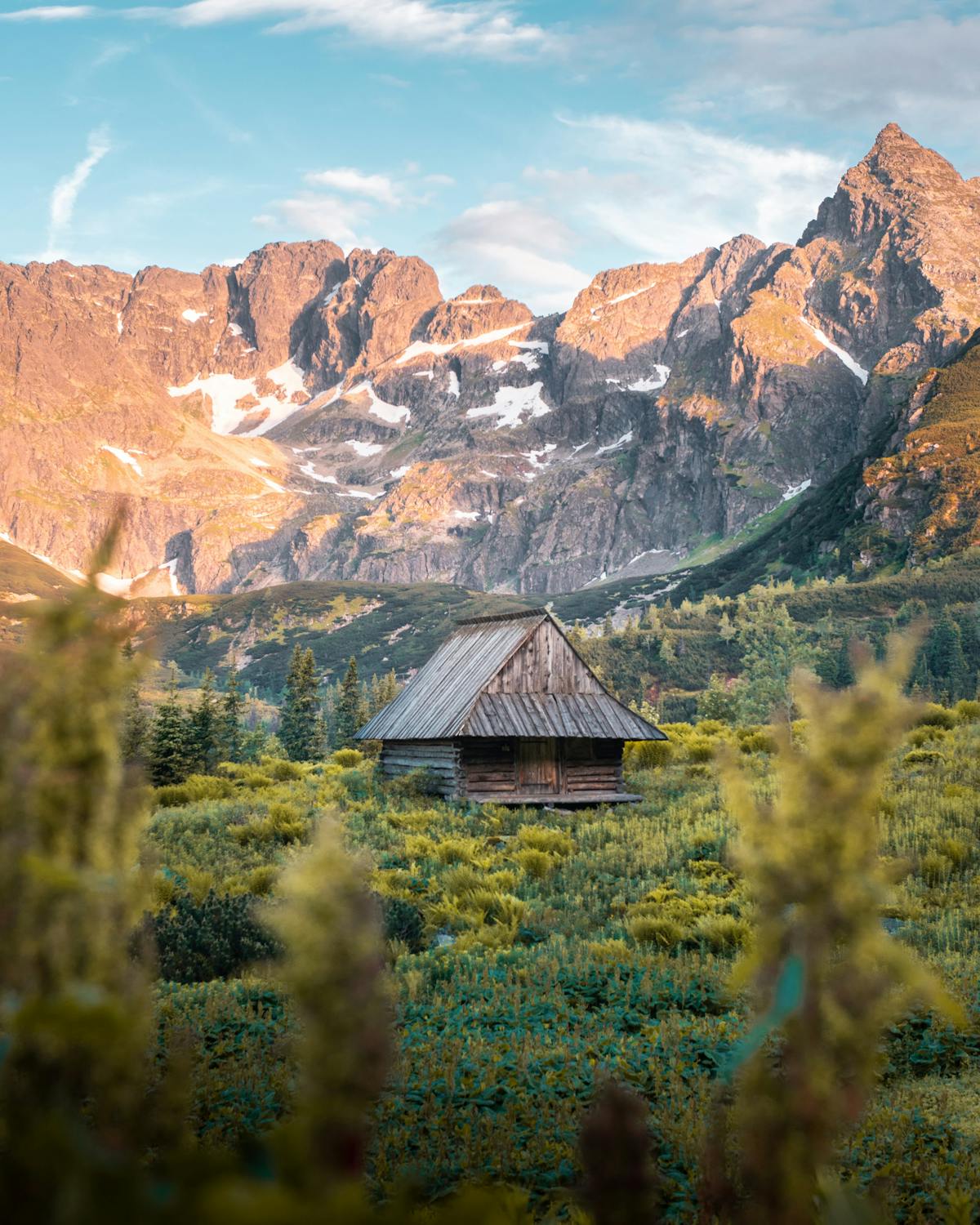 Chilliwack Mountain elevated forested views privacy