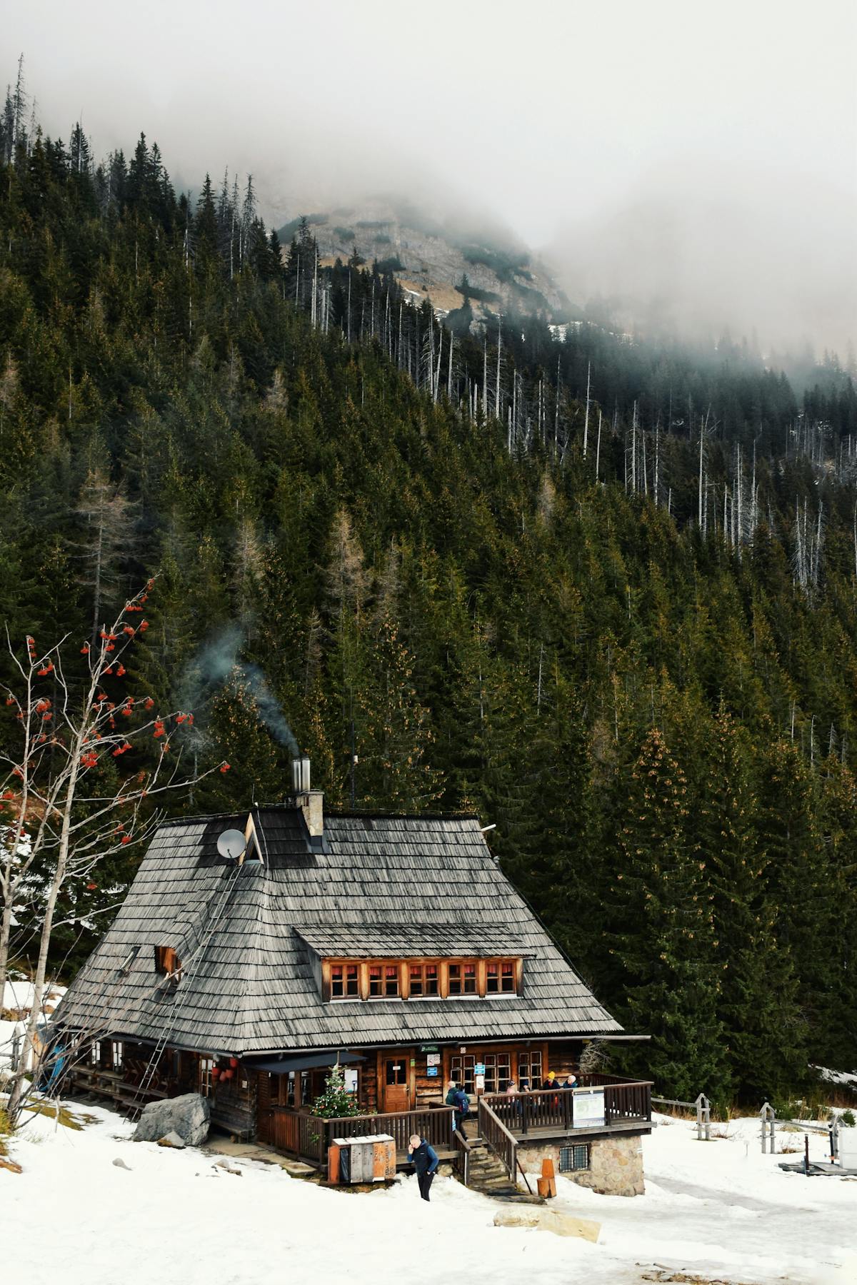 Whistler Cay Heights residential neighborhood detached homes